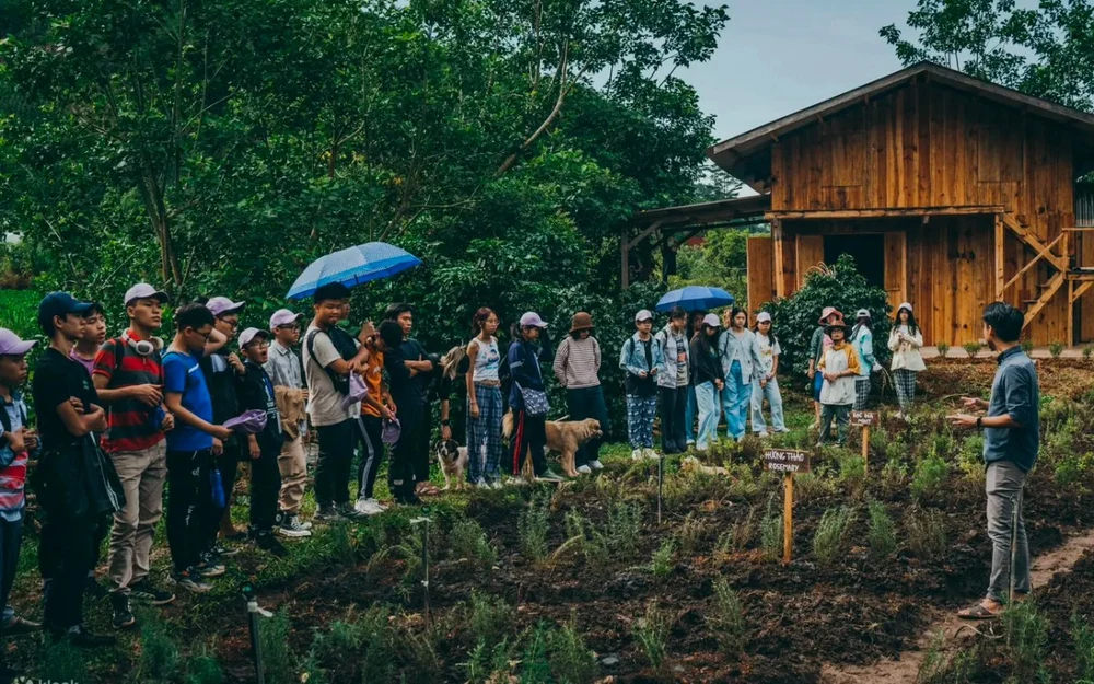 twin-beans-farm-da-lat