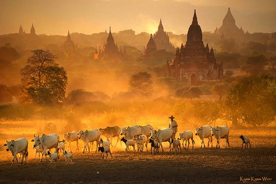 cach-xin-visa-du-lich-myanmar